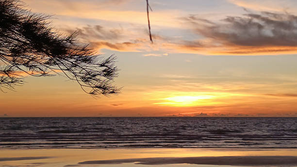 istock Tranquil ocean sunset with golden hues on wet sand, framed by silhouetted branches. 2246467142