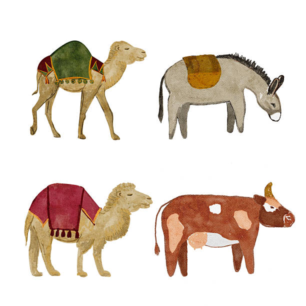 istock Farm and desert animals set featuring camels, donkey, and cow with decorative saddles. 2246468802