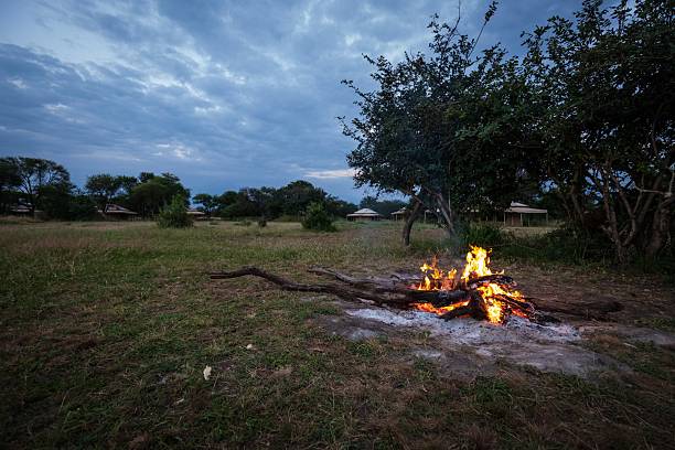 Campfire at Dusk in Rural Grassland with Glowing Flames and Cloudy Evening Sky