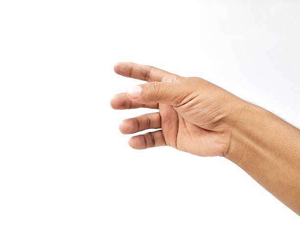 Asian man hand gesture holding something isolated on white background. Element for creative design