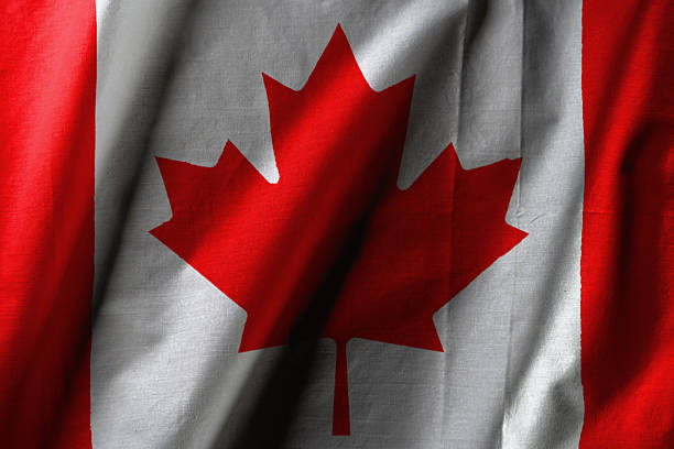 Patriotic Canada Day background with maple leaves on white. Flat lay, top view, copy space