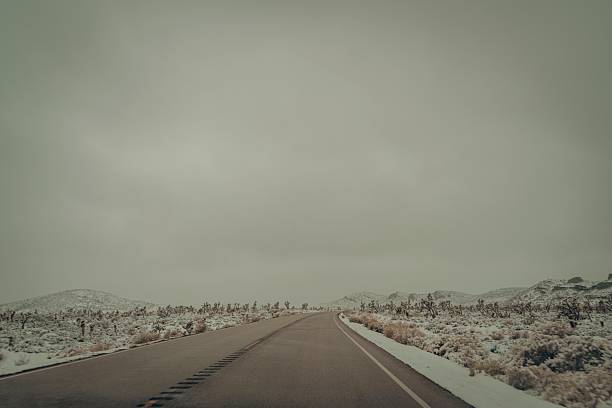 This image captures a deserted road disappearing into a foggy, snow-covered landscape, evoking a mood of solitude and quiet winter stillness. The muted tones and overcast sky enhance the sense of isolation and calm, making it ideal for themes of travel, adventure, contemplation, and winter weather conditions. The scene's simplicity and natural beauty suit editorial, commercial, and environmental projects.