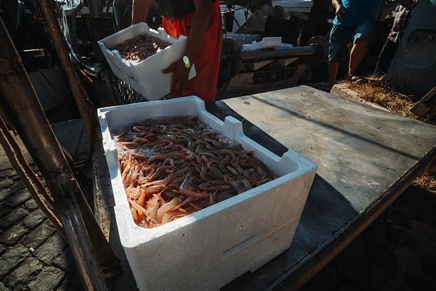 Close-up of white insulated boxes filled with freshly caught shrimp covered in ice, stacked on the dockside of a Mediterranean fishing harbor. The image captures the daily routine of coastal fisheries and seafood trade.