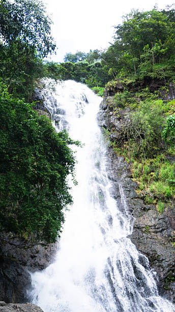 istock Majestic Tropical Waterfall Flowing Through Lush Green Forest, Nature Landscape in Southeast Asia 2246476331