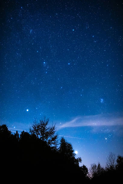 istock Milky Way stars and countryside tree silhouettes. 2246481476