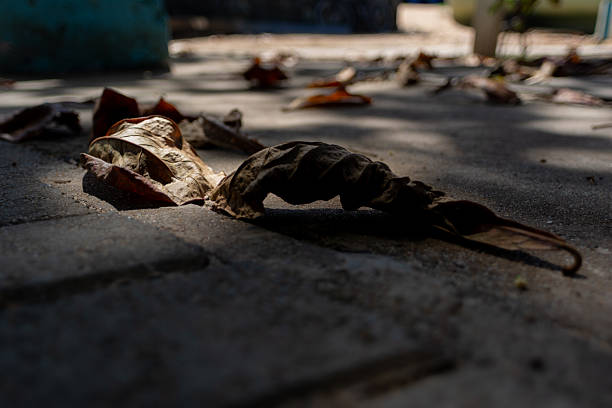 A close-up photo, captured at a low angle, highlighting several dry, brown leaves fallen on a concrete floor or pavement. The image suggests the passage of time or nature interacting with the urban environment.