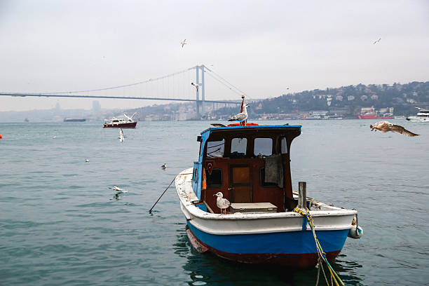 Small boats are moored at a wooden dock along the Bosphorus, with seagulls flying overhead and hills dotted with houses in the distance. The calm waters, traditional Turkish boat, and charming waterfront buildings create a peaceful and picturesque coastal scene.