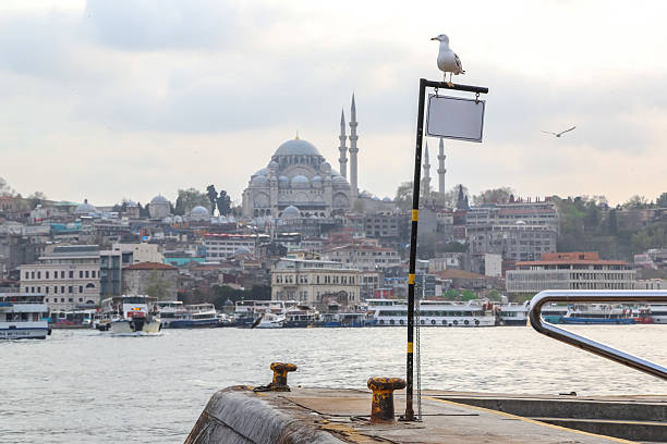 istock Seagull Overlooking the City and Mosque, Istanbul 2246491223