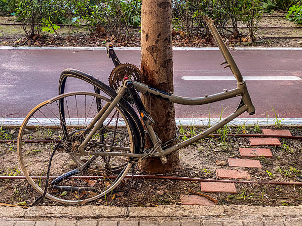 istock Vandalized bicycle tied to tree in the street 2246493627