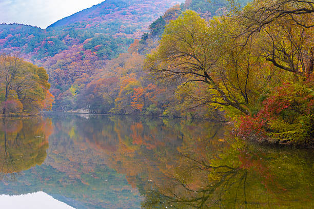 the reflection of an autumn lake