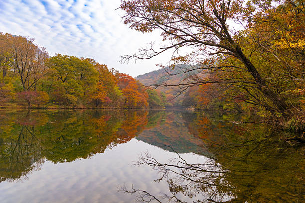 istock the reflection of an autumn lake 2246493721
