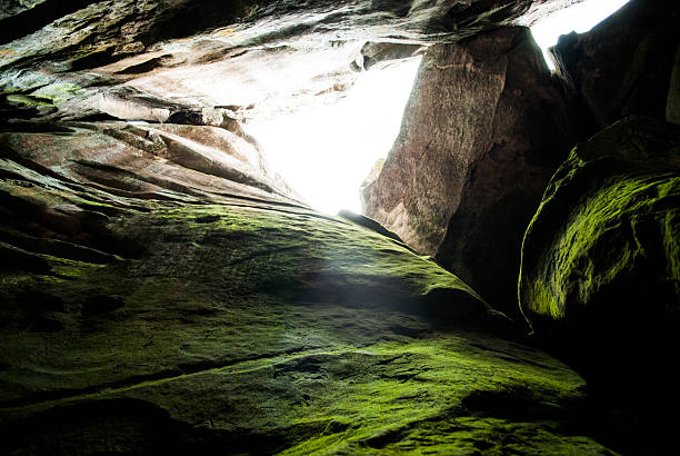 Sunlight streams into a secluded cave, illuminating the rocky walls coated with lush green moss. The scene captures the beauty and serenity of nature, inviting exploration and wonder.