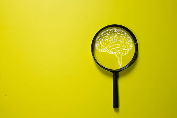 istock Magnifying glass focusing on human brain icon. 2246499539