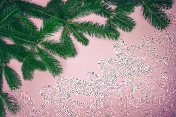 istock Christmas tree branches composition with frost texture on pink background 2246502783