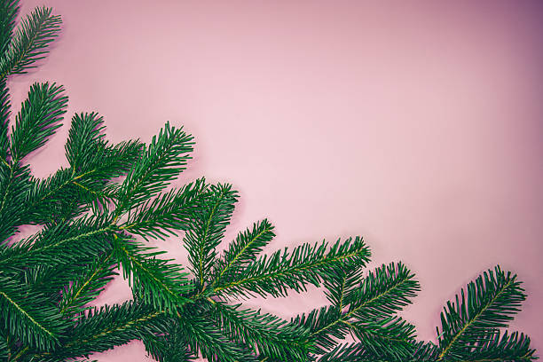 istock Christmas tree branches on pastel pink background with copy space 2246502796