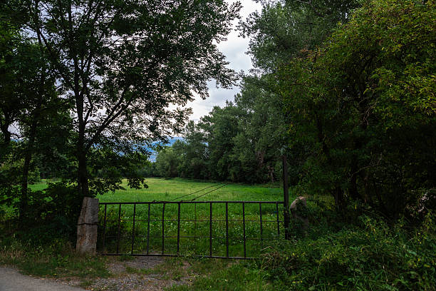 Old fence in a meadow in Girona, Catalonia, Spain