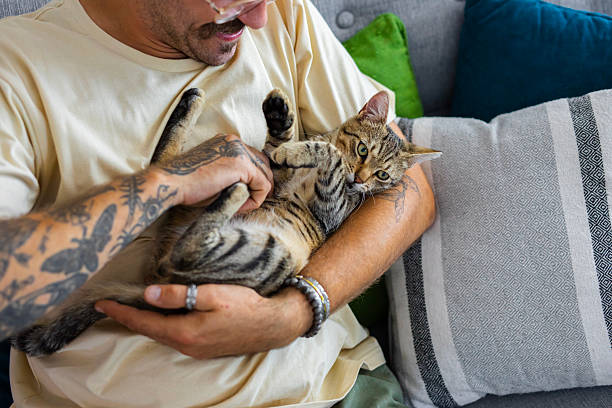 istock Relaxed man sitting on the sofa at home while gently petting his cat 2246509232