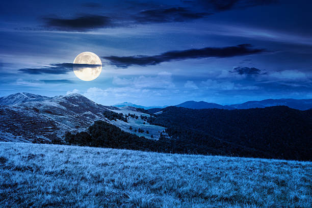 istock landscape with grassy meadow at night 2246510216