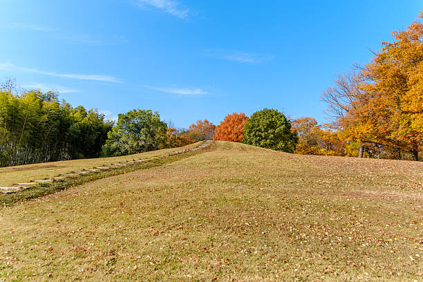 istock Autumn Hillside in the Park 2246510357
