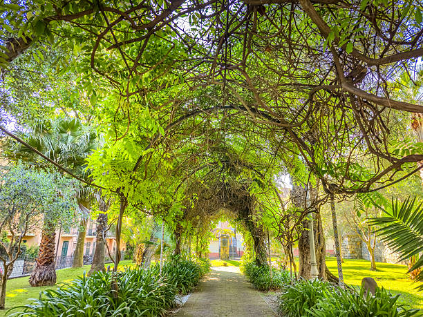 istock Monet Gardens in Bordighera, Italy 2246512487