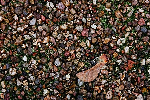 Top Down View of Multi-colored Small Pebble and Gravel Surface Texture with a Single Fallen Leaf . High quality photo