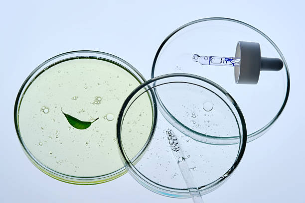 istock Three petri dishes with different serums and pipettes. 2246514785