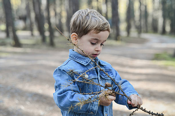 A young boy in a blue denim jacket curiously handles dry branches in a calm forest setting. Natural light, outdoor exploration, and a gentle, contemplative mood.