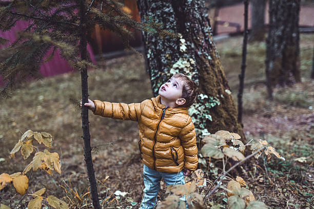 A curious young boy in a warm mustard puffer jacket reaches toward a slender tree in a quiet autumn forest. Soft natural light and mossy trunks create a cozy outdoor moment of exploration.