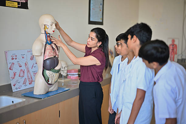 A middle school science teacher demonstrates the circulatory and respiratory systems on a life-size human anatomy model while a group of students in lab coats watches attentively. The bright lab scene highlights hands-on biology education, STEM learning, and classroom engagement—ideal for themes of anatomy lessons, teaching aids, and interactive science instruction.