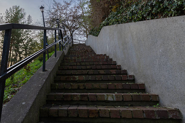An upward view of an old brick staircase with black metal railings and ivy-covered walls on the side, surrounded by greenery and trees.