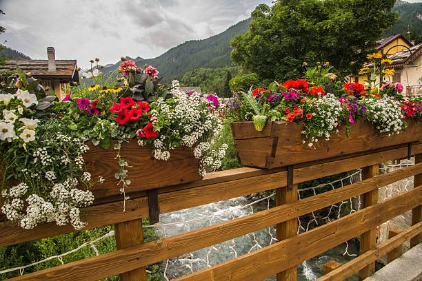 istock Vibrant flowers on a rustic bridge with mountain view. 2246523113