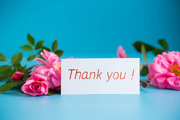 istock Rose flowers on a smooth pastel surface with gratitude 2246525427