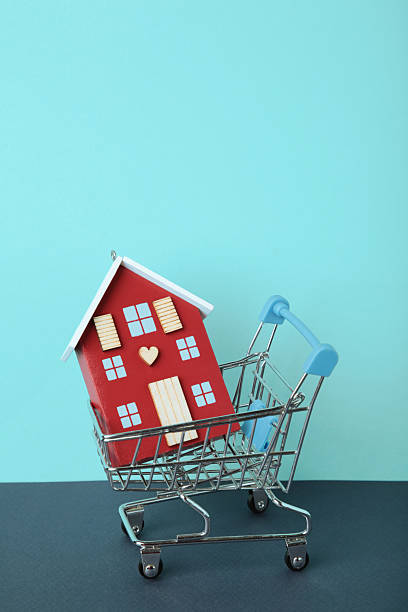 Shoping cart with wooden house on bkue background. Vertical photo