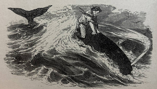 istock Antique illustration - man riding on the back of a whale 2246532946