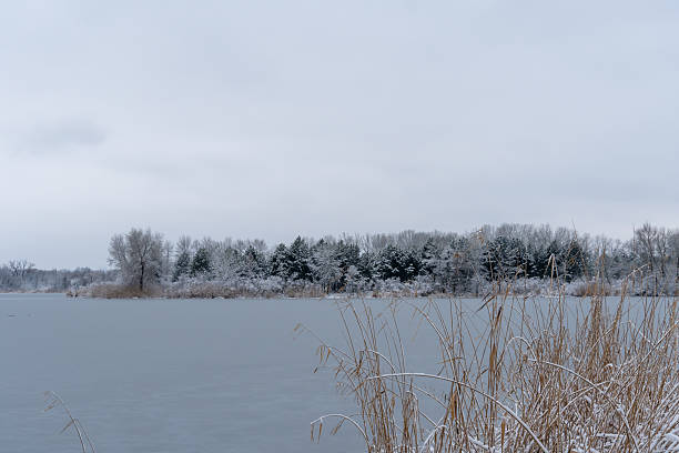 istock Winter island with pine and bare deciduous trees on ice river. 2246534074