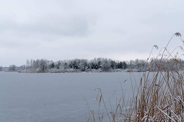 istock Winter island with pine and bare deciduous trees on ice river. 2246534090