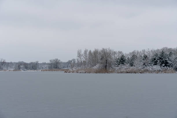 istock Winter island with pine and bare deciduous trees on ice river. 2246534092