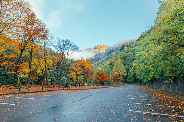 istock Misty Autumn Mountains with Sharp Rock Peaks and Colorful Trees. 2246534164