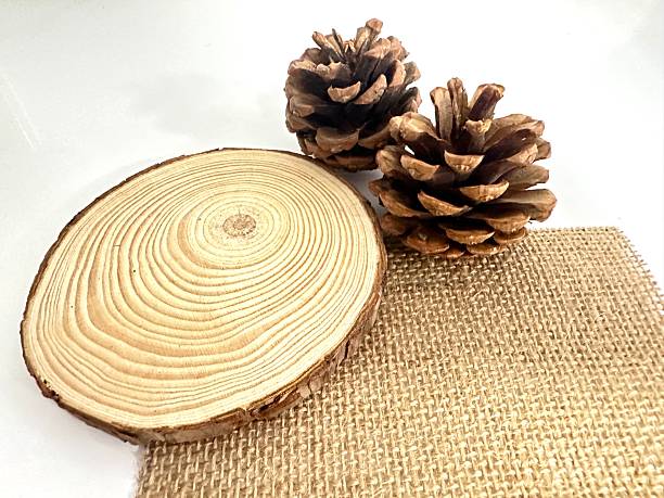 istock Natural wood slice with pine cones on burlap fabric, rustic decoration for home, craft projects, seasonal decor, nature-inspired arrangement for interiors 2246536721