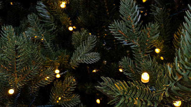 istock Christmas tree branches with glowing yellow lights creating festive bokeh background for holiday season 2246537241