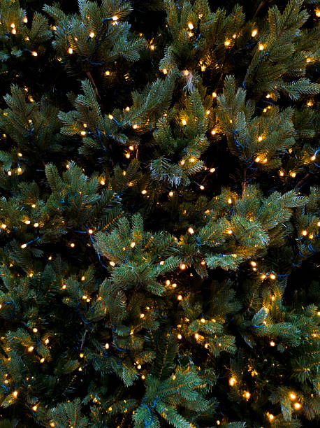 istock Christmas tree branches decorated with glowing warm lights, symbolizing holiday season celebrations and festive joy 2246537310