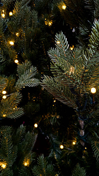 istock Christmas holiday tree branches decorated with shining warm lights creating a festive winter wonderland mood 2246537368