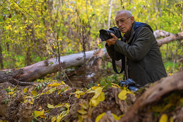 istock Senior man photographing nature in autumn forest 2246538689