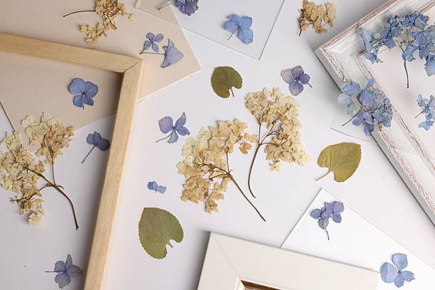 istock Beautiful dry flowers, green leaves and picture frame elements on white background, flat lay 2246542134