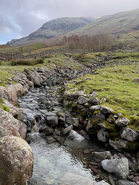 istock Babbling Brook Out Side Seathwaite, Cumbia, England 2246544762