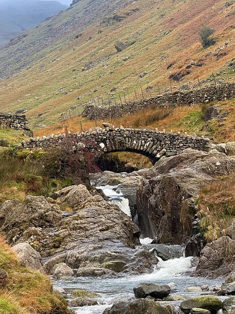 istock Stone Bridge Over The River Derwent, Cumbria, England 2246545167