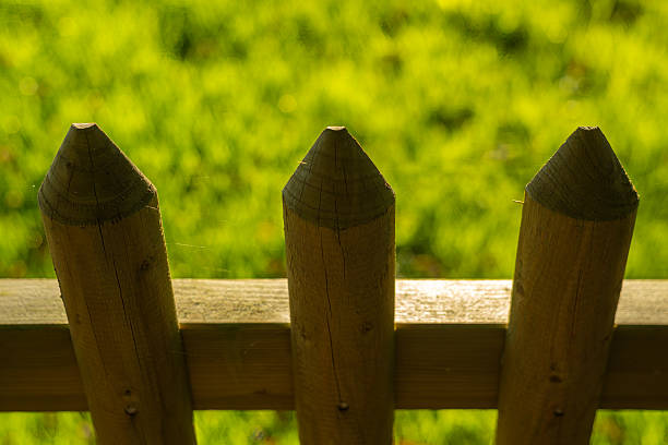 Close-up of a wooden picket fence with blurred green grass background.
