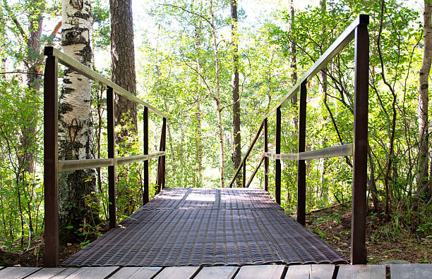 A wooden pedestrian bridge with spring greenery around it