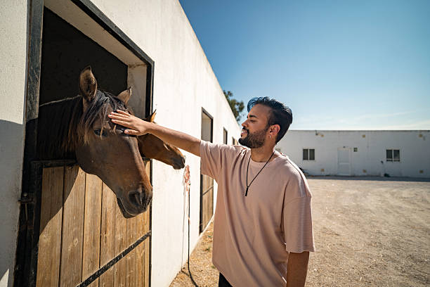 Man in a horse stable in Setúbal, Portugal