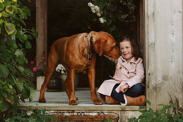 A four-year-old girl looks lovingly into her dog's eyes outside on a porch. Shot with a Canon 5D Mark IV.